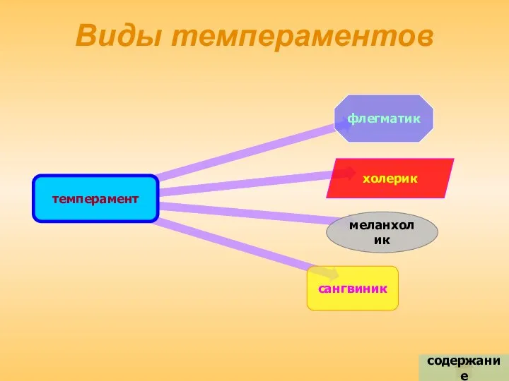 Виды темпераментов содержание темперамент флегматик меланхолик холерик сангвиник