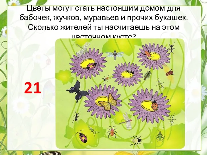 Цветы могут стать настоящим домом для бабочек, жучков, муравьев и прочих букашек.