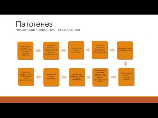Патогенез Нормальная площадь МК – от 4,0 до 6,0 см
