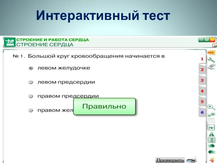 Интерактивный тест