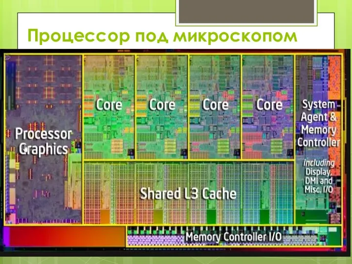 Процессор под микроскопом