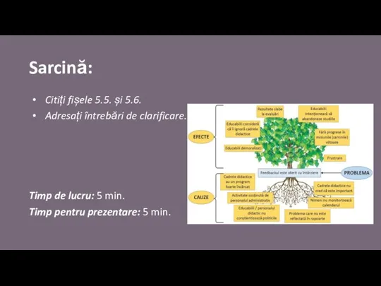 Sarcină: Citiți fișele 5.5. și 5.6. Adresați întrebări de clarificare. Timp de