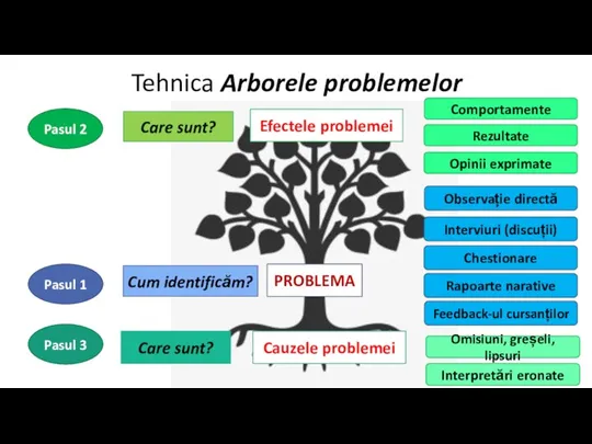 Tehnica Arborele problemelor PROBLEMA Cum identificăm? Pasul 1 Observație directă Interviuri (discuții)