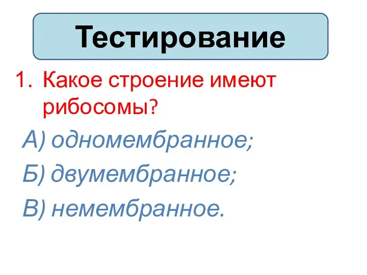 Какое строение имеют рибосомы? А) одномембранное; Б) двумембранное; В) немембранное. Тестирование