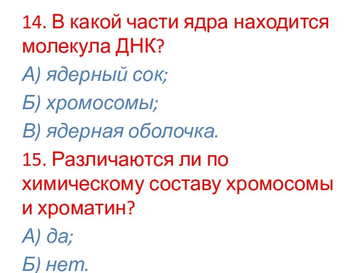 14. В какой части ядра находится молекула ДНК? А) ядерный сок; Б)