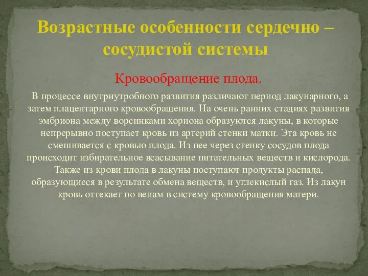 Кровообращение плода. В процессе внутриутробного развития различают период лакунарного, а затем плацентарного