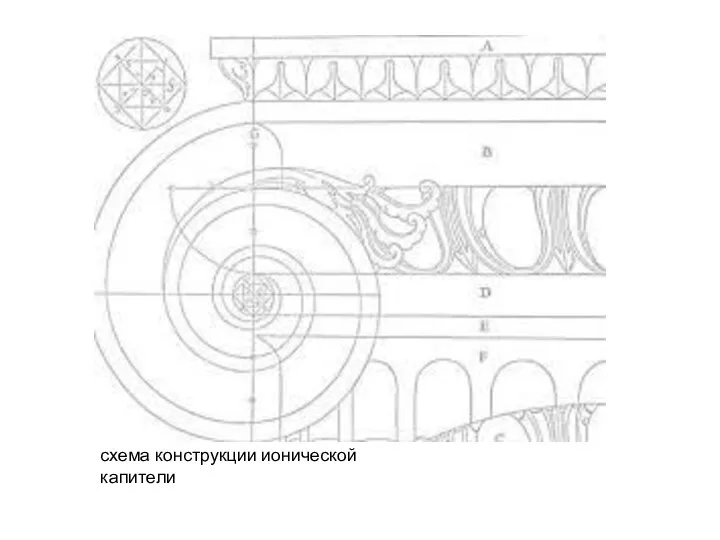 схема конструкции ионической капители