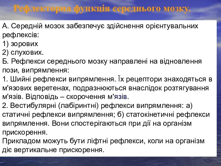 Рефлекторна функція середнього мозку. А. Середній мозок забезпечує здійснення орієнтувальних рефлексів: 1)