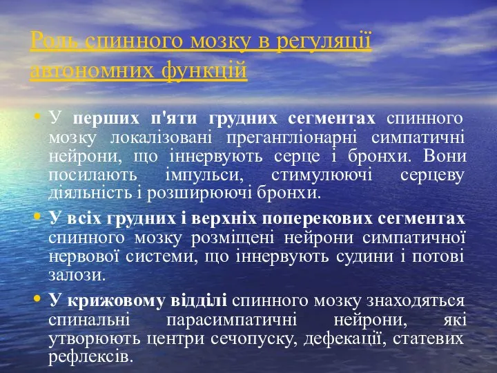 Роль спинного мозку в регуляції автономних функцій У перших п'яти грудних сегментах