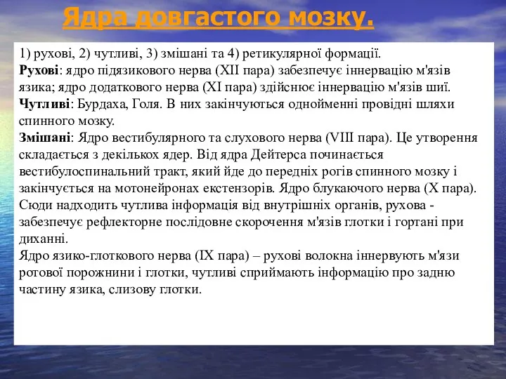 Ядра довгастого мозку. 1) рухові, 2) чутливі, 3) змішані та 4) ретикулярної