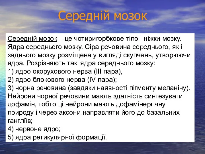 Середній мозок Середній мозок – це чотиригорбкове тіло і ніжки мозку. Ядра