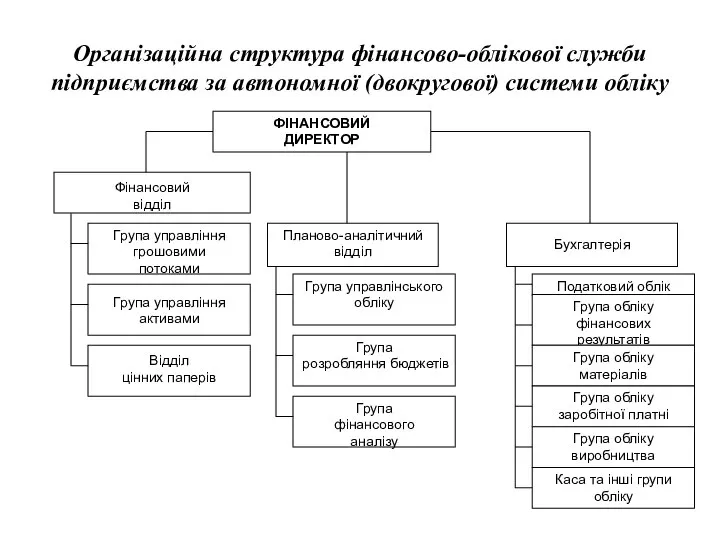 Організаційна структура фінансово-облікової служби підприємства за автономної (двокругової) системи обліку