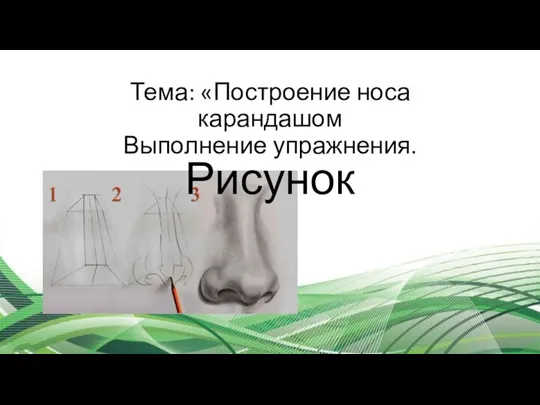 Тема: «Построение носа карандашом Выполнение упражнения. Рисунок
