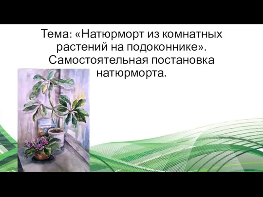 Тема: «Натюрморт из комнатных растений на подоконнике». Самостоятельная постановка натюрморта.