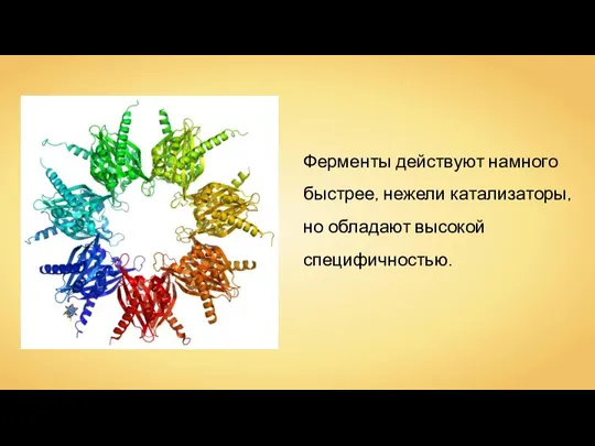 Ферменты действуют намного быстрее, нежели катализаторы, но обладают высокой специфичностью.