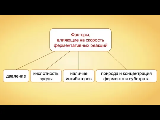 Факторы, влияющие на скорость ферментативных реакций