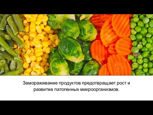 Замораживание продуктов предотвращает рост и развитие патогенных микроорганизмов.