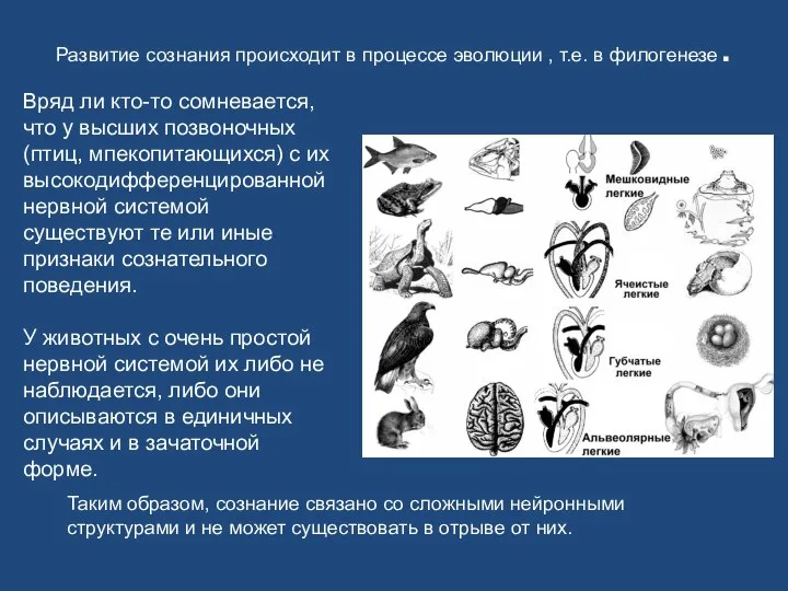 Развитие сознания происходит в процессе эволюции , т.е. в филогенезе. Вряд ли