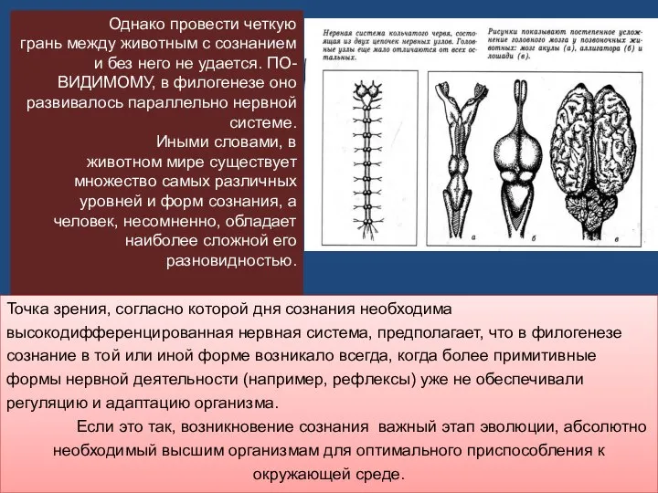 Однако провести четкую грань между животным с сознанием и без него не