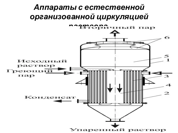 Аппараты с естественной организованной циркуляцией раствора.