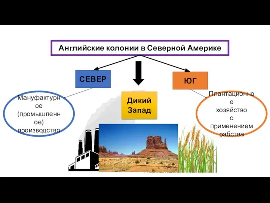 Английские колонии в Северной Америке СЕВЕР ЮГ Мануфактурное (промышленное) производство Плантационное хозяйство