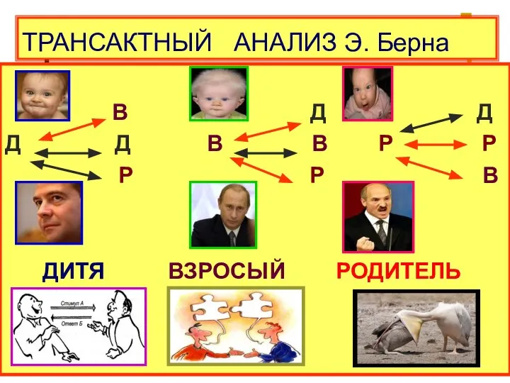 ТРАНСАКТНЫЙ АНАЛИЗ Э. Берна В Д Д Д Д В В Р