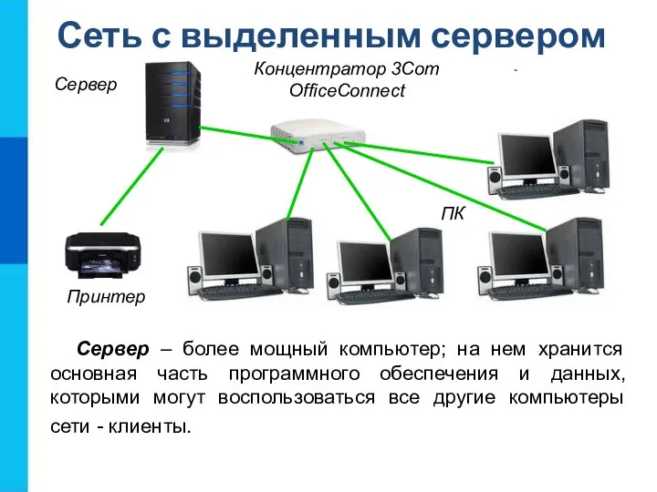 Сеть с выделенным сервером Сервер – более мощный компьютер; на нем хранится