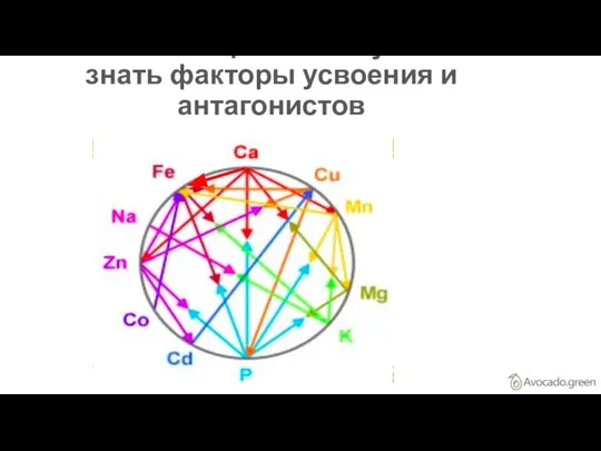 КОНКУРЕНЦИЯ-почему важно знать факторы усвоения и антагонистов