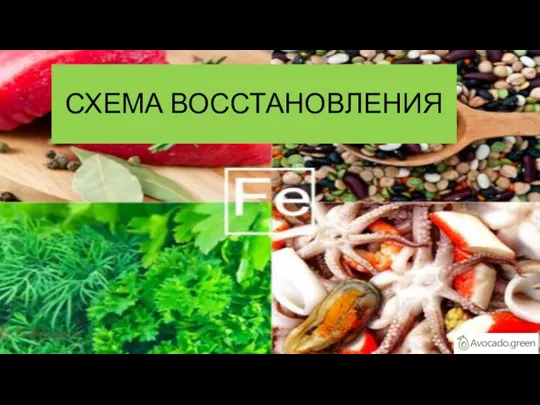 СХЕМА ВОССТАНОВЛЕНИЯ