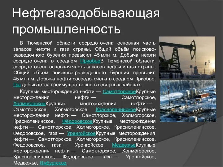 Нефтегазодобывающая промышленность В Тюменской области сосредоточена основная часть запасов нефти и газа