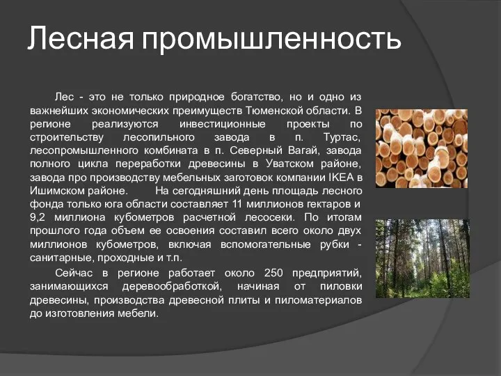 Лесная промышленность Лес - это не только природное богатство, но и одно