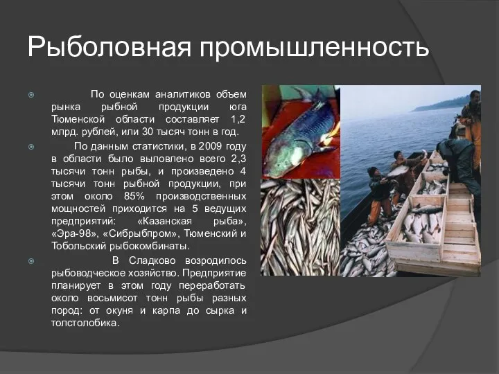 Рыболовная промышленность По оценкам аналитиков объем рынка рыбной продукции юга Тюменской области