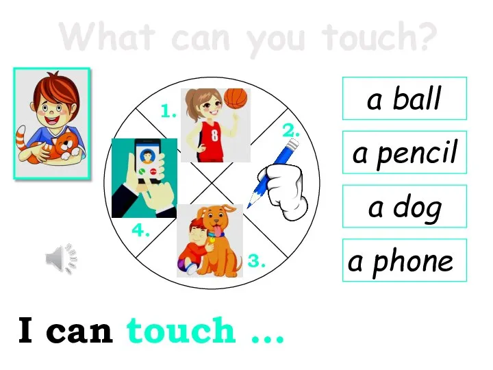 What can you touch? I can touch … a dog a ball