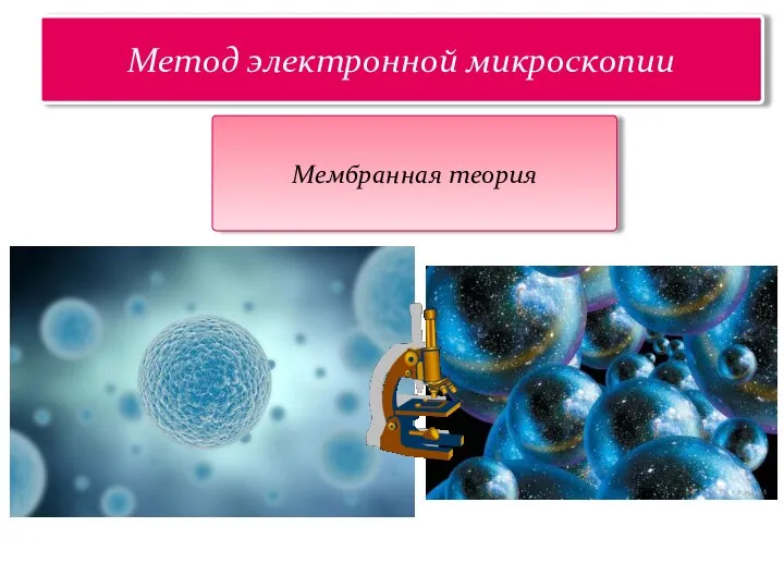 Царство растений Метод электронной микроскопии Мембранная теория