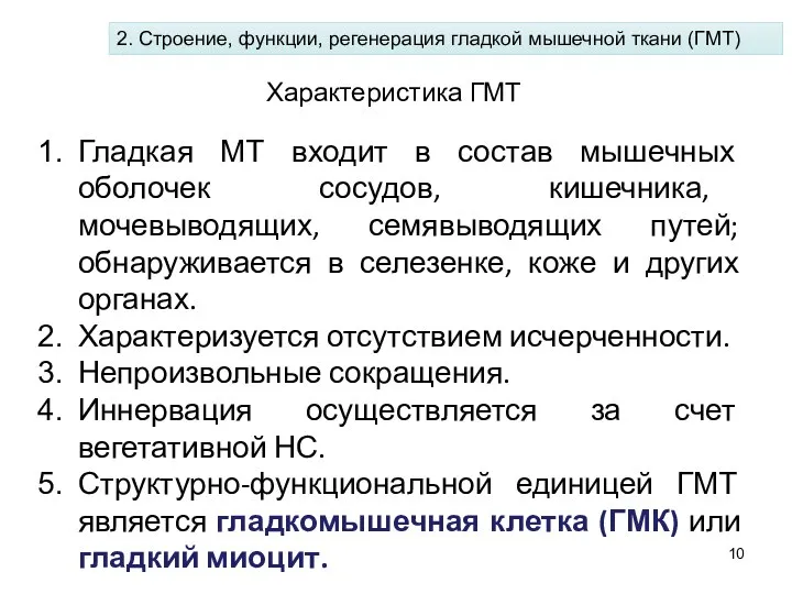 Гладкая МТ входит в состав мышечных оболочек сосудов, кишечника, мочевыводящих, семявыводящих путей;