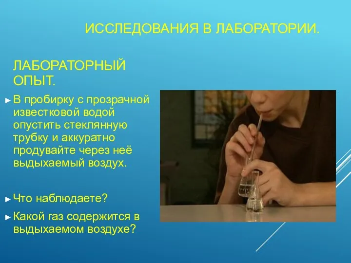 ИССЛЕДОВАНИЯ В ЛАБОРАТОРИИ. ЛАБОРАТОРНЫЙ ОПЫТ. В пробирку с прозрачной известковой водой опустить