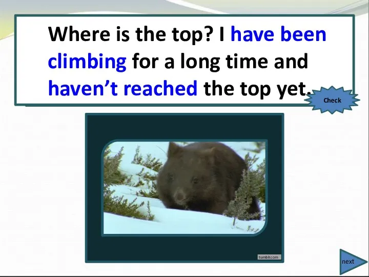 Where is the top? I (climb) for a long time and (not