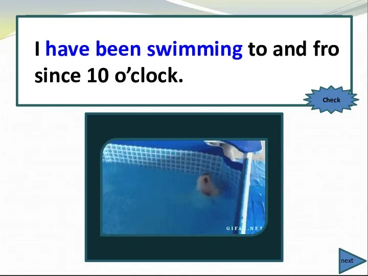 I (swim) to and fro since 10 o’clock. I have been swimming