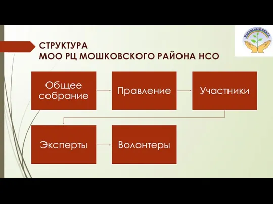 СТРУКТУРА МОО РЦ МОШКОВСКОГО РАЙОНА НСО