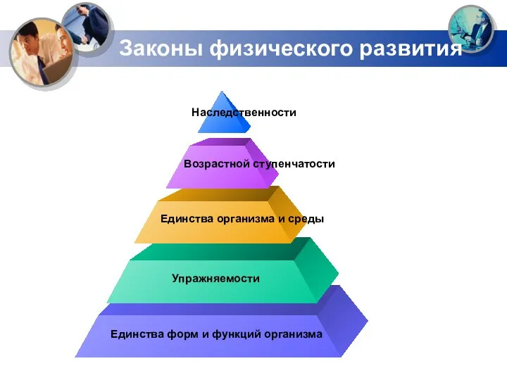 Законы физического развития Наследственности Возрастной ступенчатости Единства организма и среды Упражняемости Единства форм и функций организма