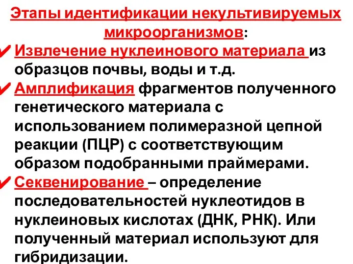 Этапы идентификации некультивируемых микроорганизмов: Извлечение нуклеинового материала из образцов почвы, воды и