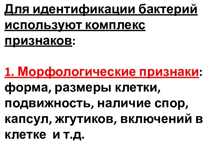 Для идентификации бактерий используют комплекс признаков: 1. Морфологические признаки: форма, размеры клетки,