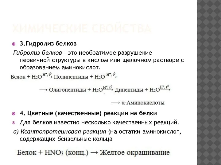 ХИМИЧЕСКИЕ СВОЙСТВА 3.Гидролиз белков Гидролиз белков – это необратимое разрушение первичной структуры