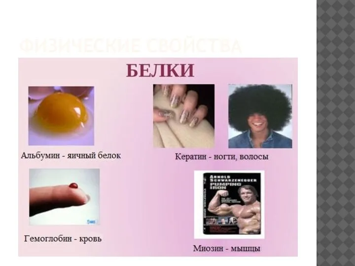 ФИЗИЧЕСКИЕ СВОЙСТВА