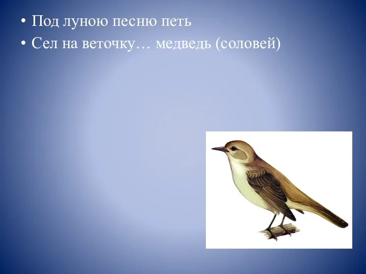 Под луною песню петь Сел на веточку… медведь (соловей)