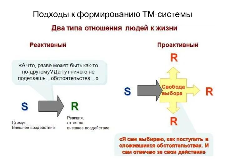 Подходы к формированию ТМ-системы