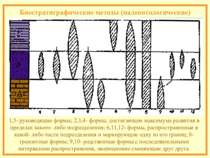 Биостратиграфические методы (палеонтологические) 1,5- руководящие формы; 2,3,4- формы, достигающие максимума развития в