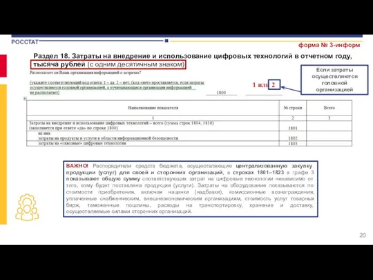 Раздел 18. Затраты на внедрение и использование цифровых технологий в отчетном году,