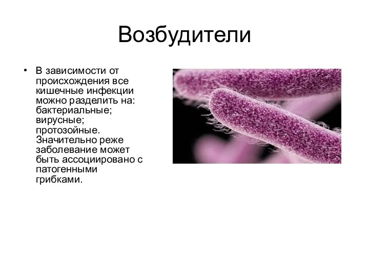 Возбудители В зависимости от происхождения все кишечные инфекции можно разделить на: бактериальные;