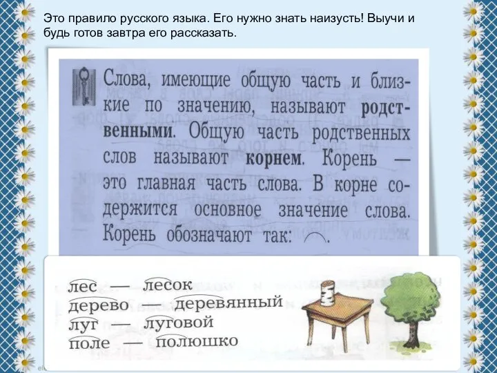 Это правило русского языка. Его нужно знать наизусть! Выучи и будь готов завтра его рассказать.